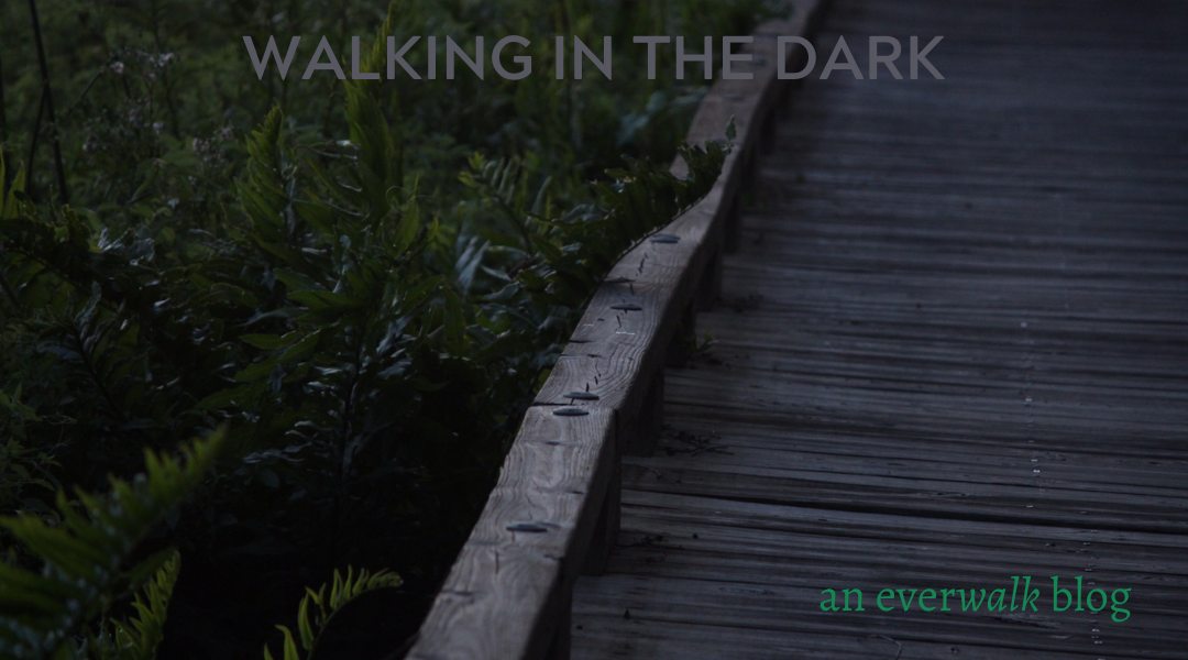 Walking in the Dark